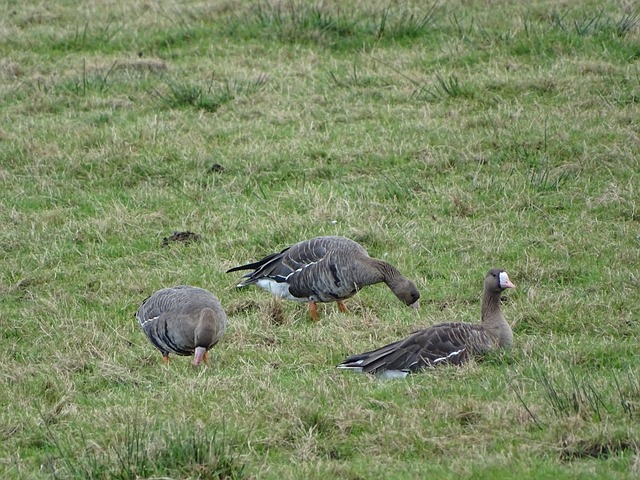 本泽马：我和C罗无需向外界展示什么；回皇马？完全有可能